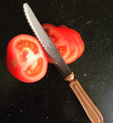Lame pour tomates et manche en plastique